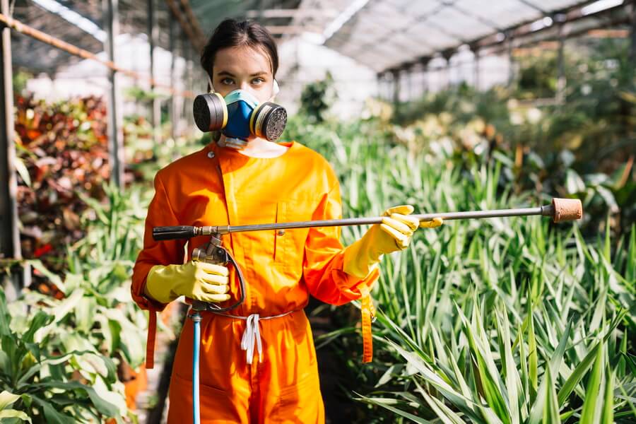 An applicator in an orange coverall, respirator, and gloves holding a spray lance among plants in a greenhouse