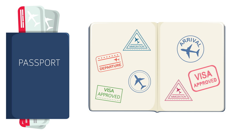 HR professional using a centralized dashboard to track employee passport expiration dates